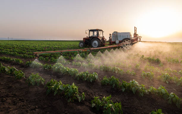 Pest Prevention Services in Willow Springs, IL