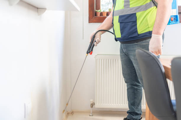 Reliable Willow Springs, IL Pest Control Solutions