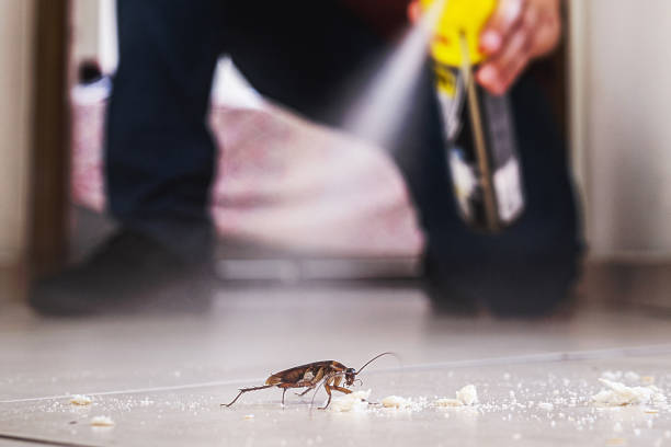 Best Commercial Pest Control Services  in Wlow Springs, IL